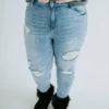 Curvy Carley RISEN Skinny Jean 1 Curvy Carley RISEN Skinny Jean