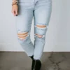 Risen Landen High Rise Boyfriend Jean Curvy