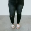 VERVET By Flying Monkey Curvy Harlow Skinny Jean
