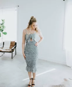 Trend Notes Dresses Hannah Smocked Gingham Dress 17 Trend Notes Dresses Hannah Smocked Gingham Dress