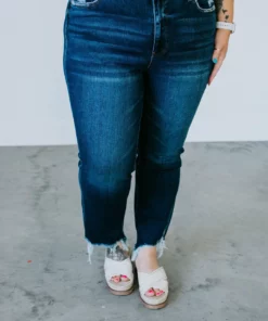 VERVET By Flying Monkey Curvy Raelynn High Rise Jean