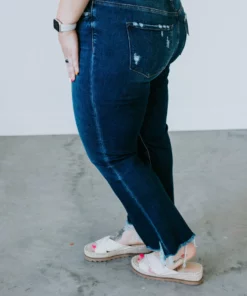 VERVET By Flying Monkey Curvy Raelynn High Rise Jean