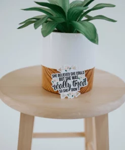 Expression Design Co Funny/Pop Culture Vinyl Stickers