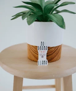 Expression Design Co Funny/Pop Culture Vinyl Stickers