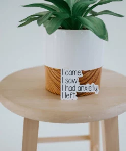 Expression Design Co Funny/Pop Culture Vinyl Stickers