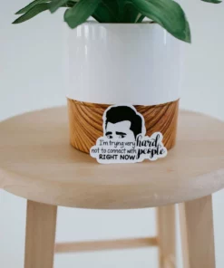 Expression Design Co Funny/Pop Culture Vinyl Stickers