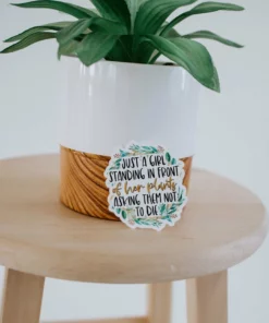 Expression Design Co Funny/Pop Culture Vinyl Stickers