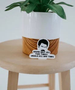 Expression Design Co Funny/Pop Culture Vinyl Stickers