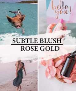 Belle & Rae Co. Subtle Blush Lightroom Presets