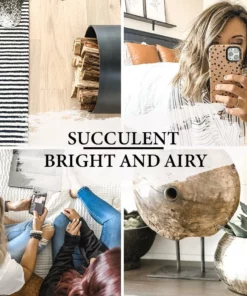 Belle & Rae Co. Succulent Lightroom Presets