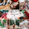 Belle & Rae Co. Tinsel Toes Lightroom Presets