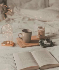 Belle & Rae Co. Creamsicle Lightroom Presets