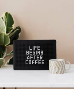 Belle & Rae Co. Creamsicle Lightroom Presets