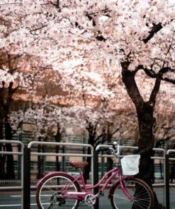 Belle & Rae Co. Lightroom Presets Barista