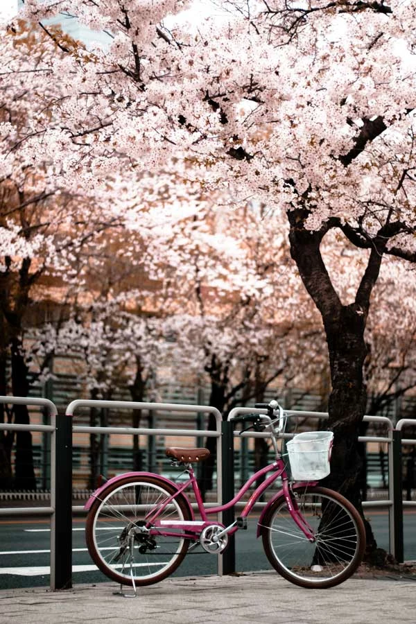 Belle & Rae Co. Coffee Shop 8 Belle & Rae Co. Coffee Shop