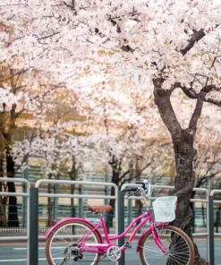 Belle & Rae Co. Lightroom Presets Barista