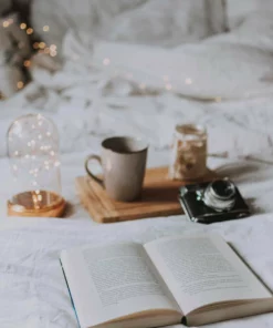 Belle & Rae Co. Creamsicle Lightroom Presets