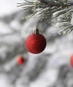 Belle & Rae Co. Tinsel Toes Lightroom Presets