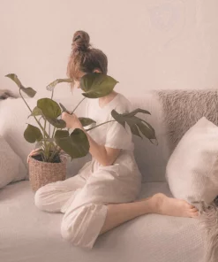 Belle & Rae Co. Creamsicle Lightroom Presets