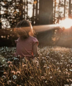 Belle & Rae Co. Hey There Pumpkin Lightroom Presets