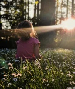 Belle & Rae Co. Hey There Pumpkin Lightroom Presets