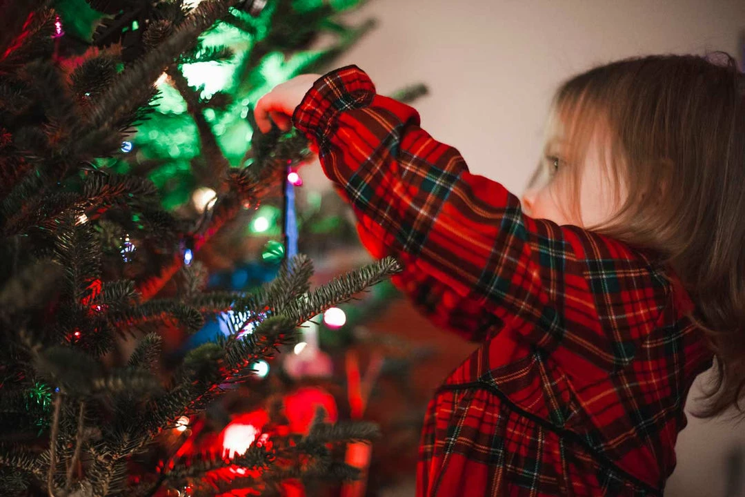 Belle & Rae Co. Tinsel Toes Lightroom Presets 13 Belle & Rae Co. Tinsel Toes Lightroom Presets