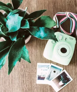 Belle & Rae Co. Influencer Lightroom Presets