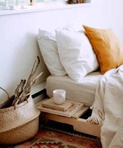 Belle & Rae Co. Creamsicle Lightroom Presets