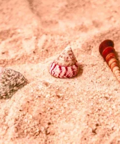 Belle & Rae Co. Lightroom Presets Rose Gold 21 Belle & Rae Co. Lightroom Presets Rose Gold