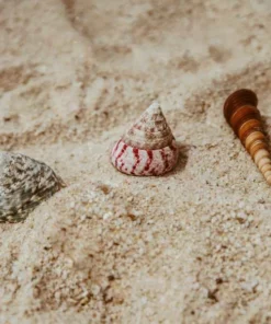 Belle & Rae Co. Lightroom Presets Rose Gold 20 Belle & Rae Co. Lightroom Presets Rose Gold