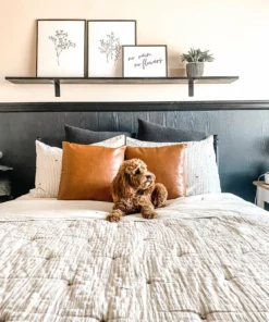 Belle & Rae Co. Bright And Airy Lightroom Presets 17 Belle & Rae Co. Bright And Airy Lightroom Presets