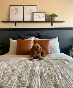 Belle & Rae Co. Bright And Airy Lightroom Presets 16 Belle & Rae Co. Bright And Airy Lightroom Presets