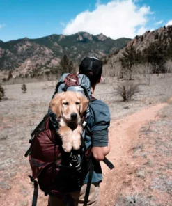 Belle & Rae Co. Coffee Shop 46 Belle & Rae Co. Coffee Shop