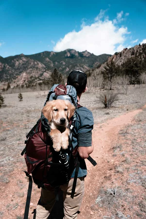 Belle & Rae Co. Coffee Shop 22 Belle & Rae Co. Coffee Shop