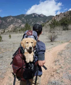 Belle & Rae Co. Coffee Shop 45 Belle & Rae Co. Coffee Shop